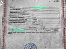 6 sot torpaq sahəsi, Binə qəs.