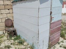 Quş yuvası