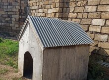 İt yuvası