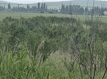 2400 sot torpaq sahəsi, Ağsu r.