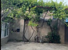 Həyət evi kirayə verilir, Balaxanı qəs.