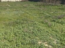 8 sot torpaq sahəsi, Biləsuvar r.