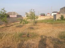 10 sot torpaq sahəsi, Nübar qəs.