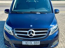 Mercedes Viano, 2016 il