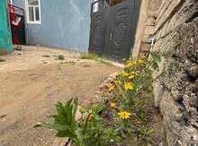 Həyət evi, Binə qəs.