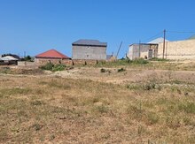 12 sot torpaq sahəsi, Saray qəs.