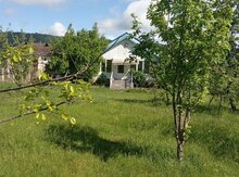 Həyət evi kirayə verilir, Qusar r.