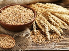 Toxumluq alekseviç buğdası