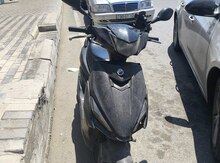 Moped, 2019 il