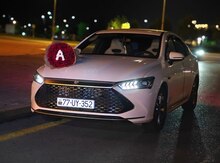 BYD Qin Plus, 2024 il