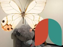 Oyuncaq ayı "Teddy"