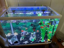 Akvarium