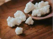 Kefir mayası