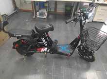 Moped, 2020 il