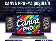 Lisenziyalı Pro proqramlar