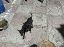 Çixuaxua 