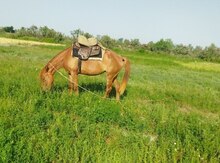 At