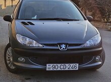 Peugeot 206, 2007 il