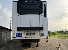 Shcmit, 2008 il