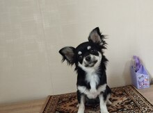 Çixuaxua 