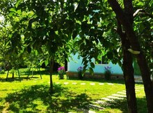Bağ evi kirayə verilir, Qəbələ ş.
