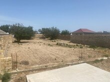 8 sot torpaq sahəsi, Nardaran qəs.