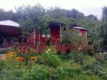 Həyət evi kirayə verilir, Qəbələ ş.