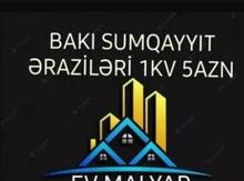 Rəngsaz işləri