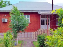 Bağ evi kirayə verilir, Lənkəran ş.