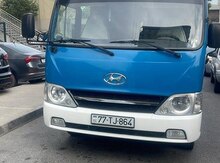 Hyundai, 2010 il