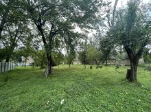 12.5 sot torpaq sahəsi, Qəbələ r.