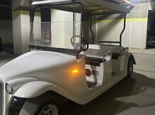 Golf car, 2012 il