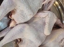 Kənd beçələri