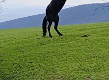 At