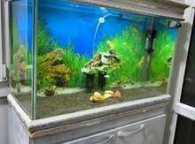 Akvarium 