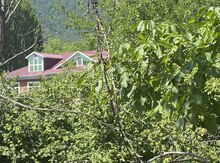 Bağ evi kirayə verilir, Qəbələ ş.