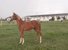At