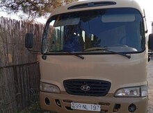 Hyundai, 2001 il