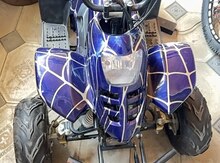 ATV kvadrosikl, 2019 il