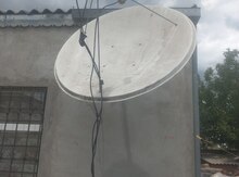 Peyk anteni
