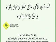 Peşəkar ərəb dili müəllimi