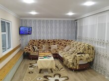 Həyət evi kirayə verilir, Şəki ş.