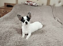 Çixuaxua 