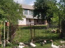 Həyət evi, Gədəbəy r.