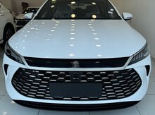 BYD Qin Plus, 2025 il