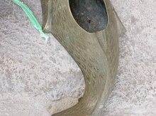 Külqabı