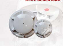 Tüstü detektoru 