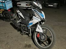 Skuter icarəsi