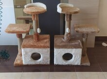 Pişik yuvası 