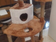 Pişik yuvası